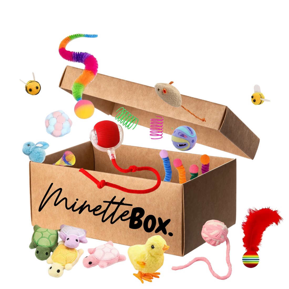 Qui sommes-nous ? | MinetteBox